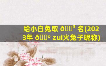 给小白兔取 🌳 名(2023年 🌺 zui
火兔子昵称)